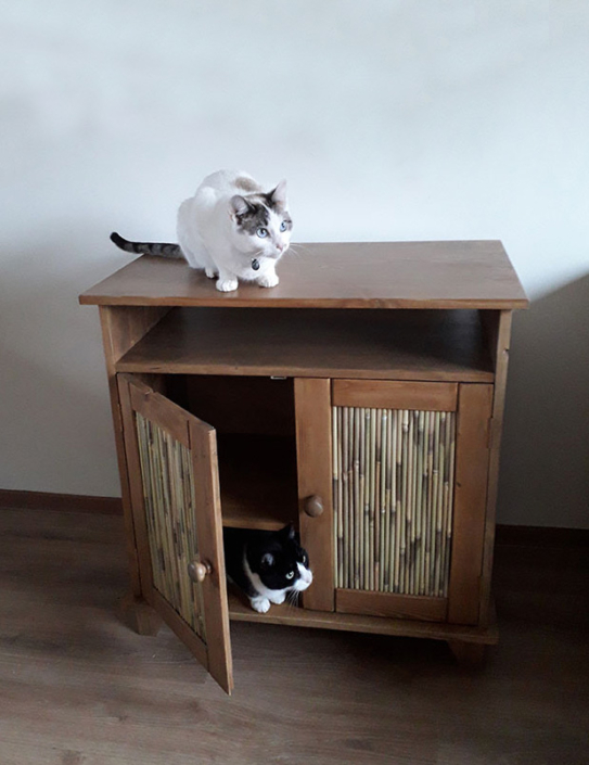 Tv meubel met bamboe deurtjes