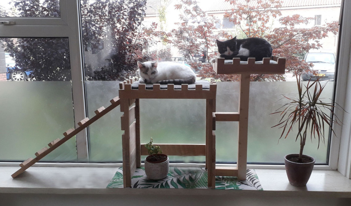 Tweepersoons kattenkasteel